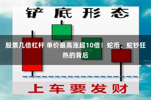 股票几倍杠杆 单价最高涨超10倍！蛇币、蛇钞狂热的背后