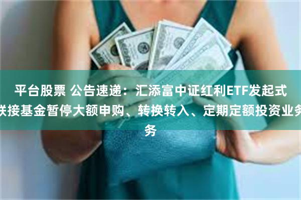 平台股票 公告速递：汇添富中证红利ETF发起式联接基金暂停大额申购、转换转入、定期定额投资业务