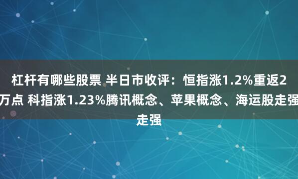 杠杆有哪些股票 半日市收评：恒指涨1.2%重返2万点 科指涨1.23%腾讯概念、苹果概念、海运股走强