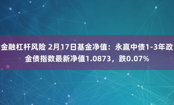 金融杠杆风险 2月17日基金净值：永赢中债1-3年政金债指数最新净值1.0873，跌0.07%