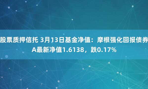 股票质押信托 3月13日基金净值：摩根强化回报债券A最新净值1.6138，跌0.17%