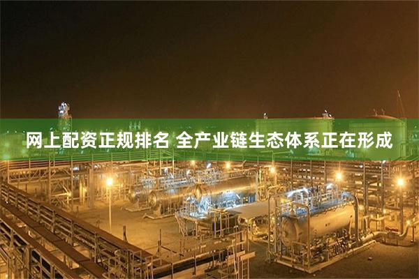 网上配资正规排名 全产业链生态体系正在形成